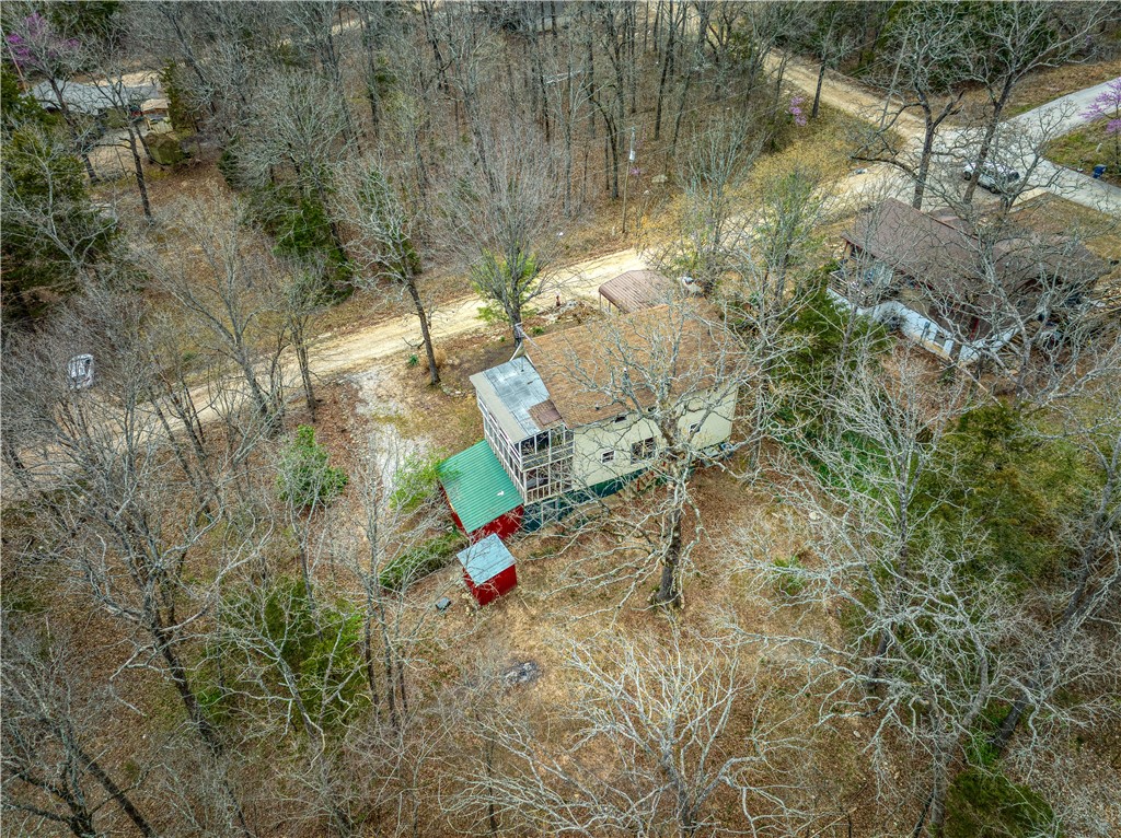 Image 12