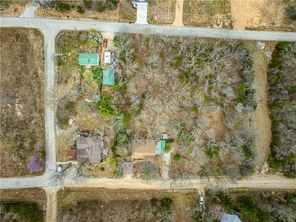 Image 49