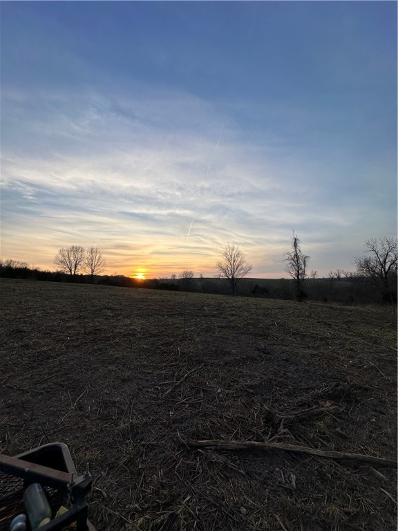 Image 21