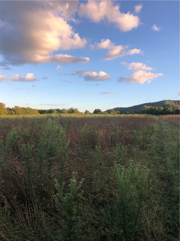 Image 23