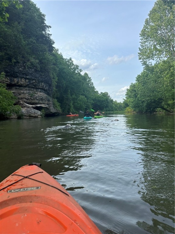 Image 8