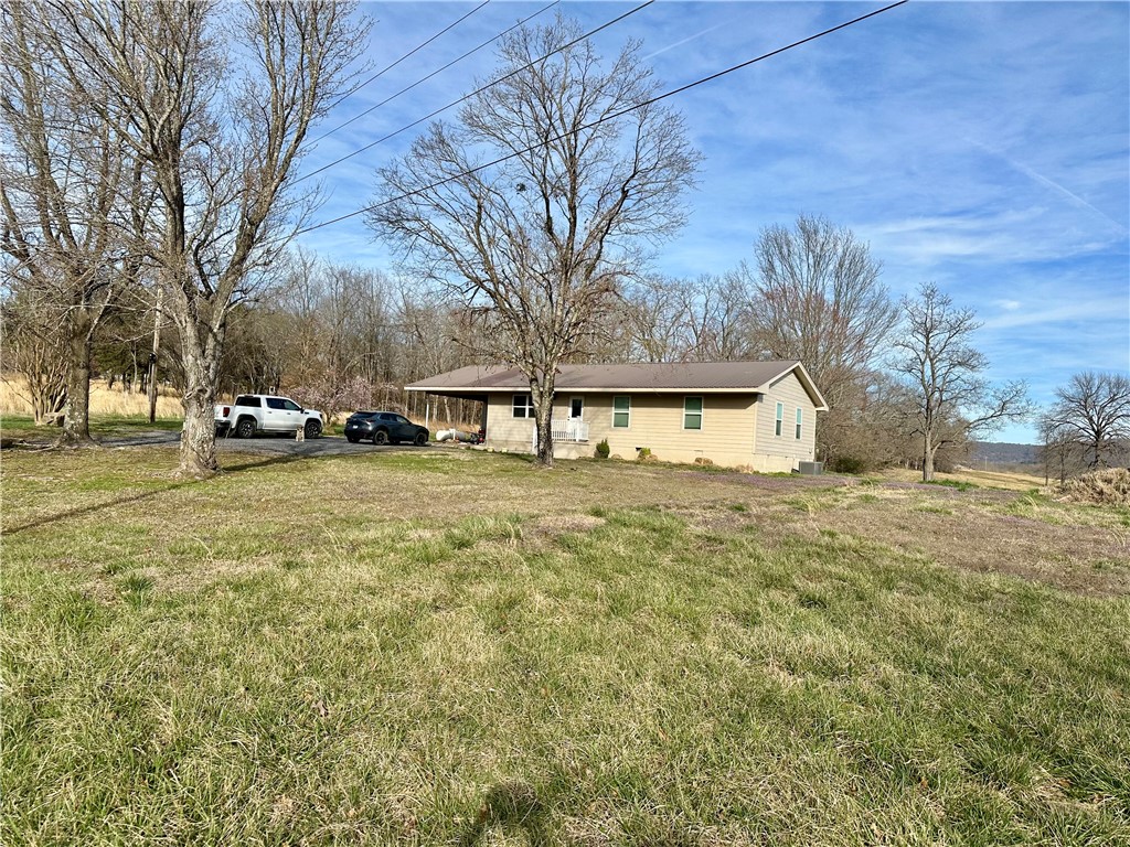 Image 41