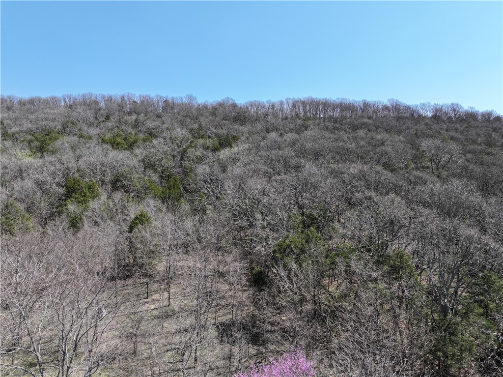 Image 15