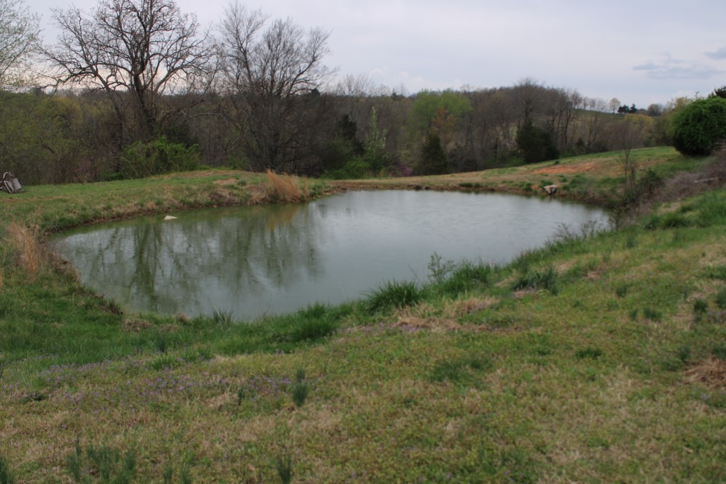 Image 14