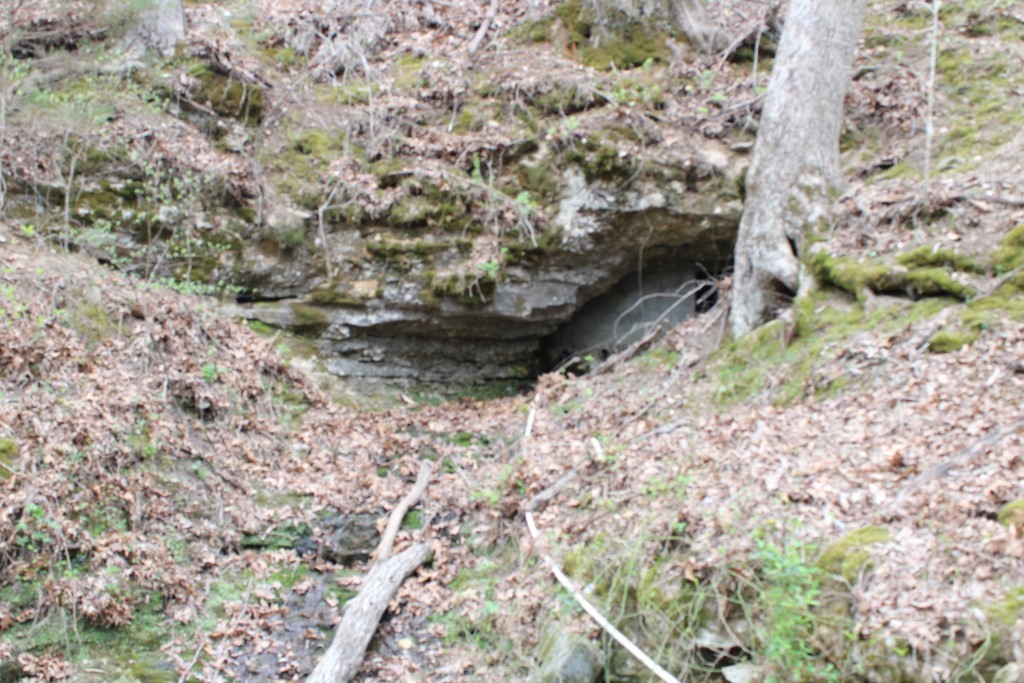 Image 31