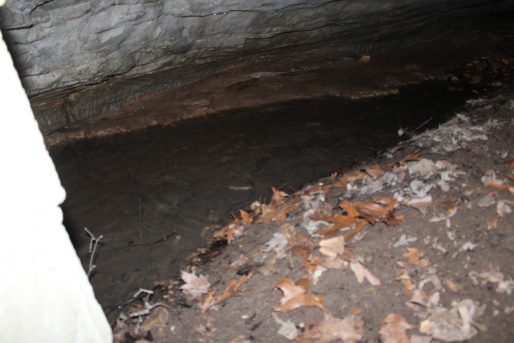 Image 33