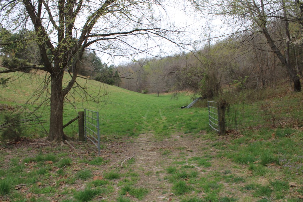 Image 35