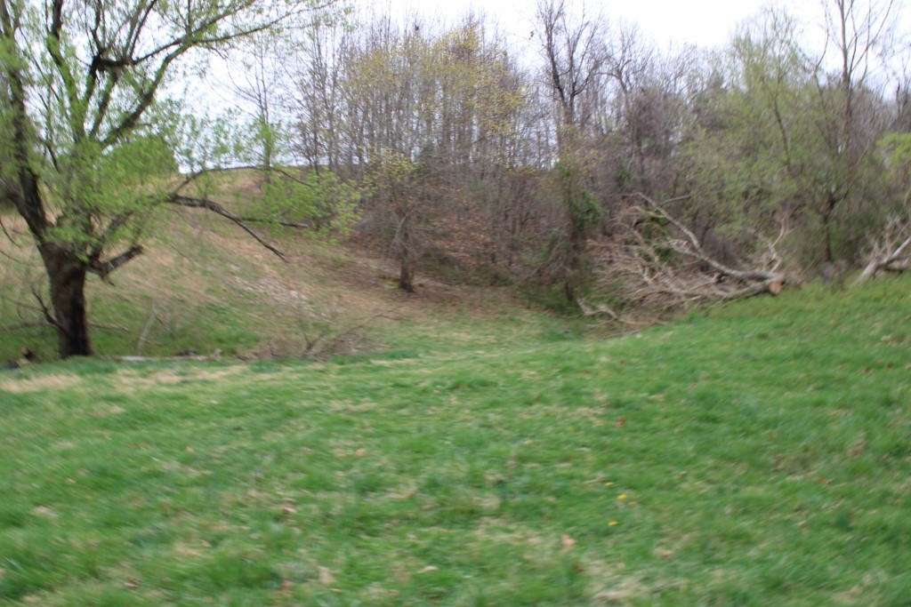 Image 36
