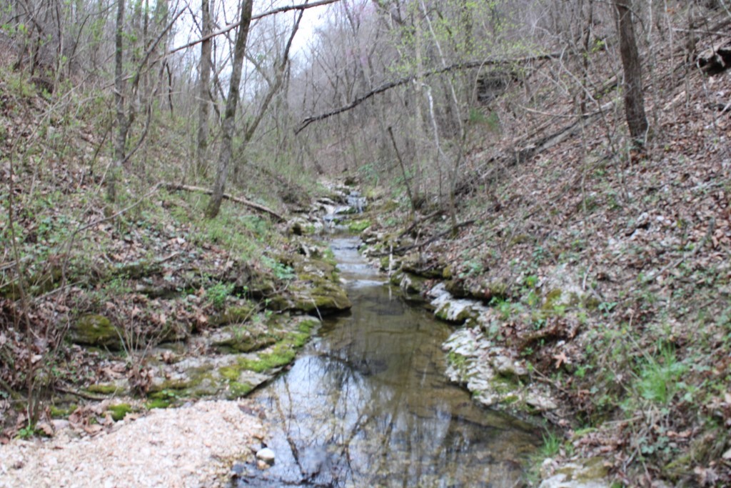 Image 37