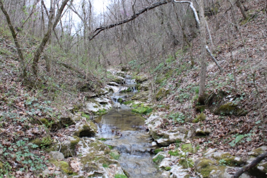 Image 38