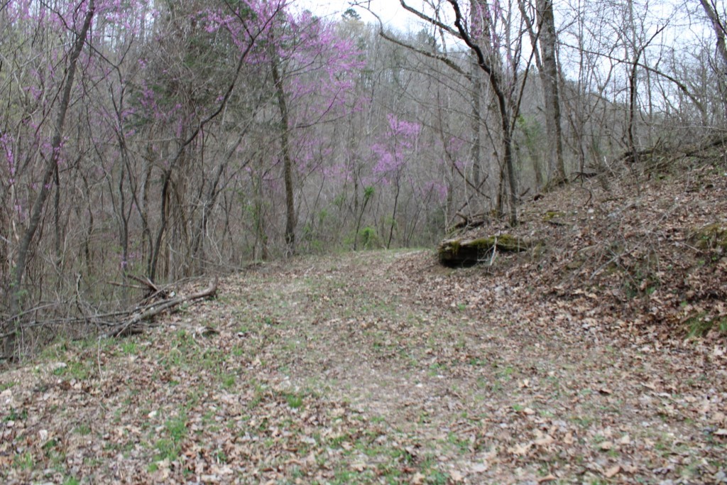 Image 40