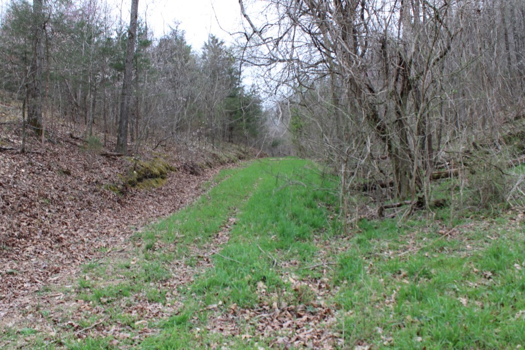 Image 41