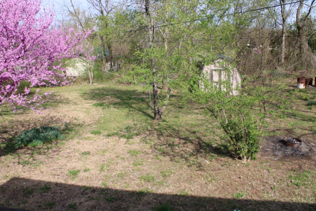 Image 21