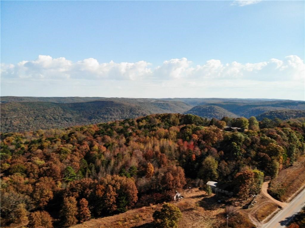 Image 12