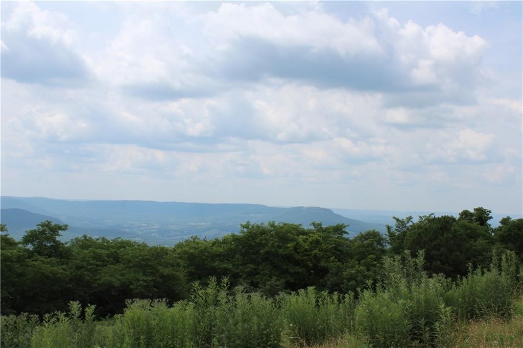 Image 12