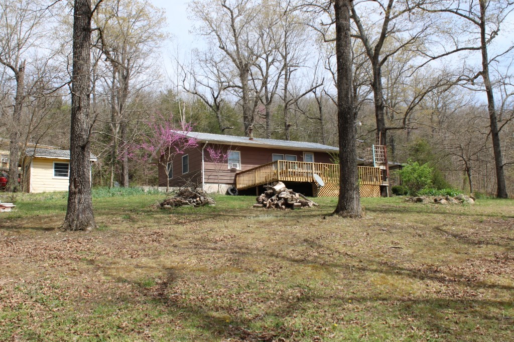 Image 12