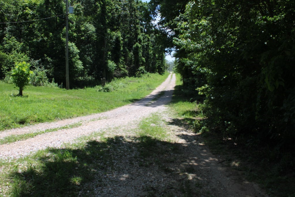 Image 37