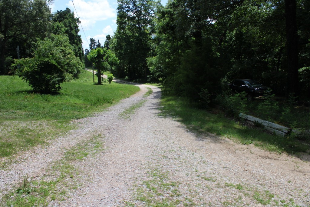 Image 38
