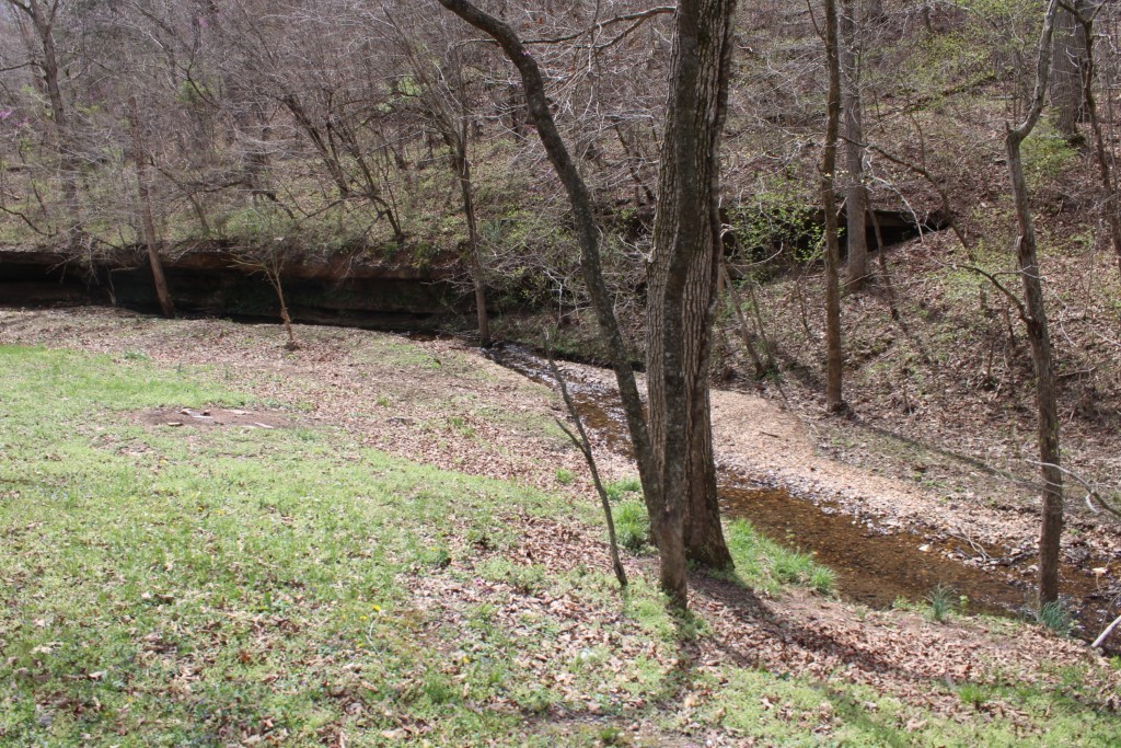 Image 9