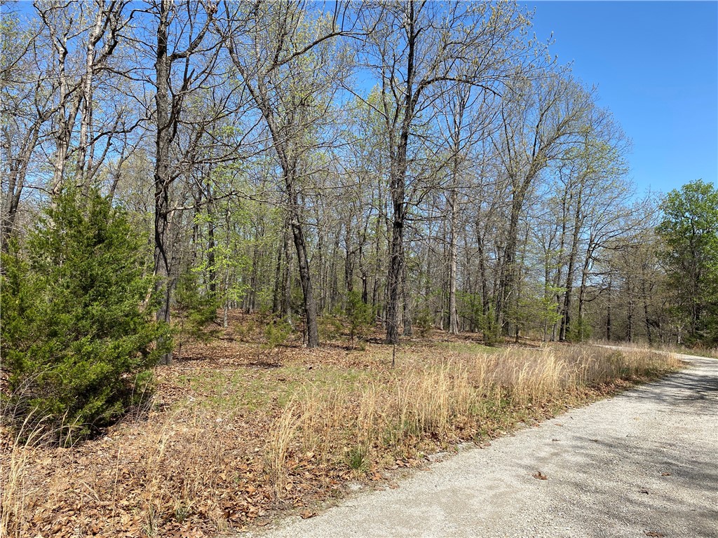 Image 10