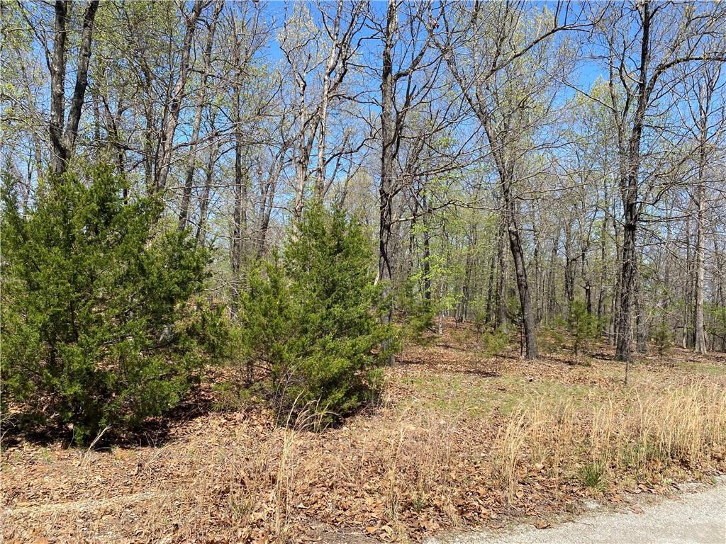 Image 11