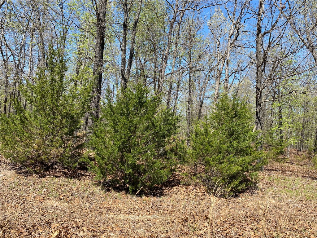 Image 12
