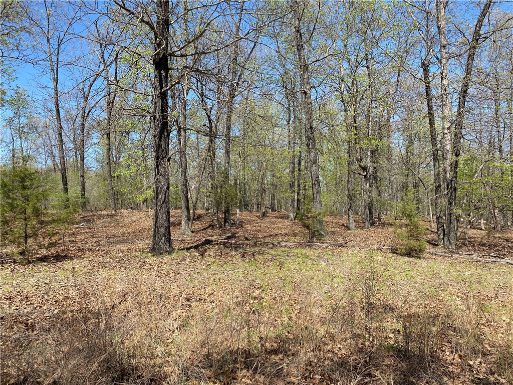 Image 14