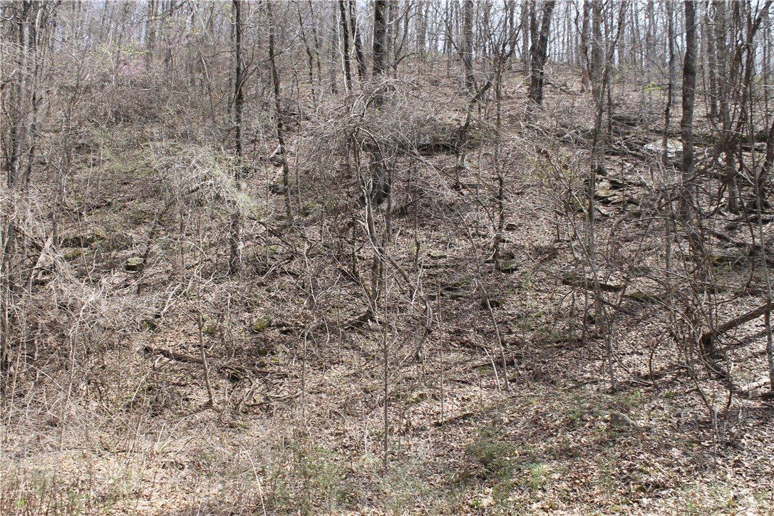 Image 12