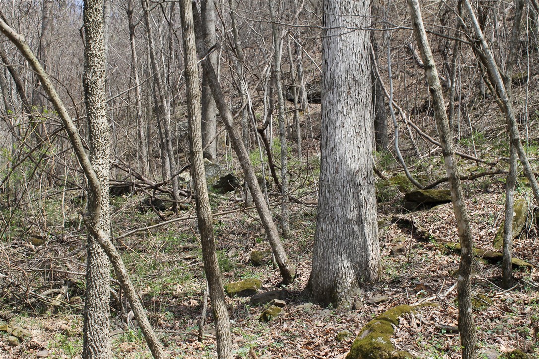 Image 14