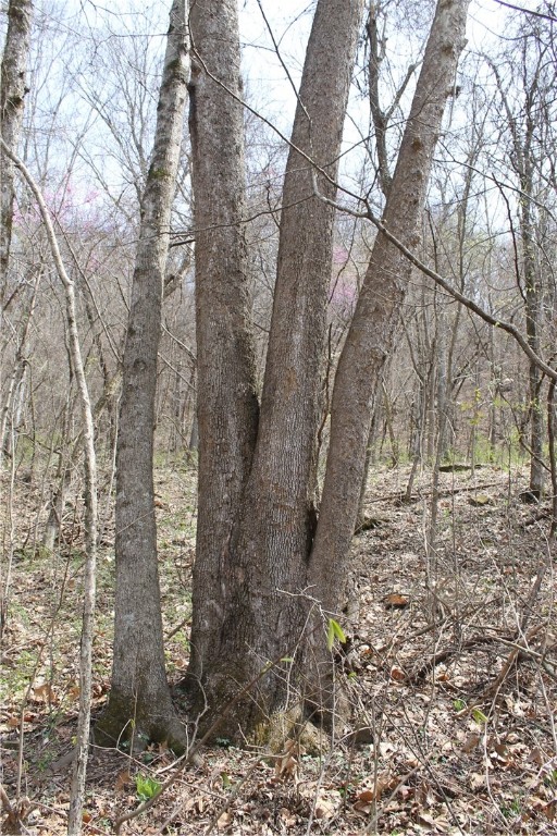 Image 15