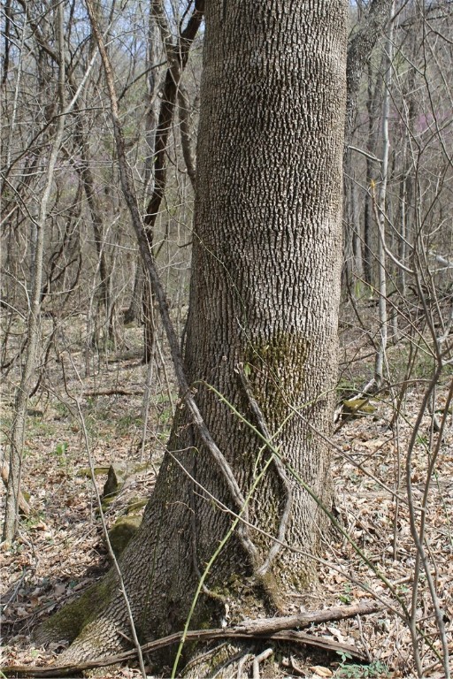 Image 16