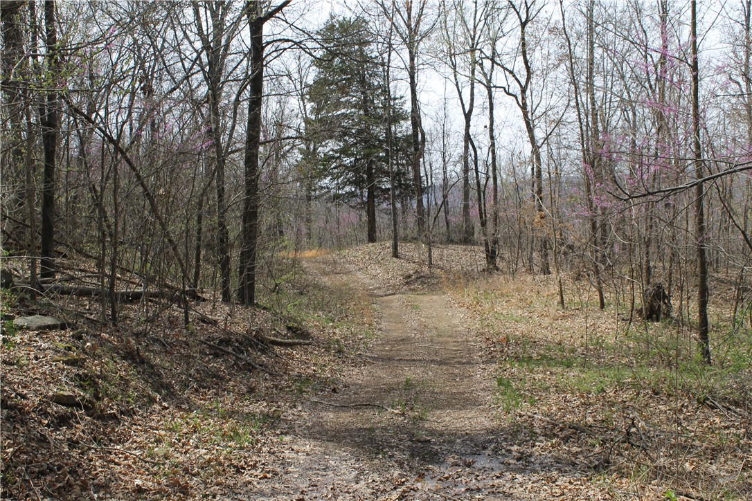 Image 17