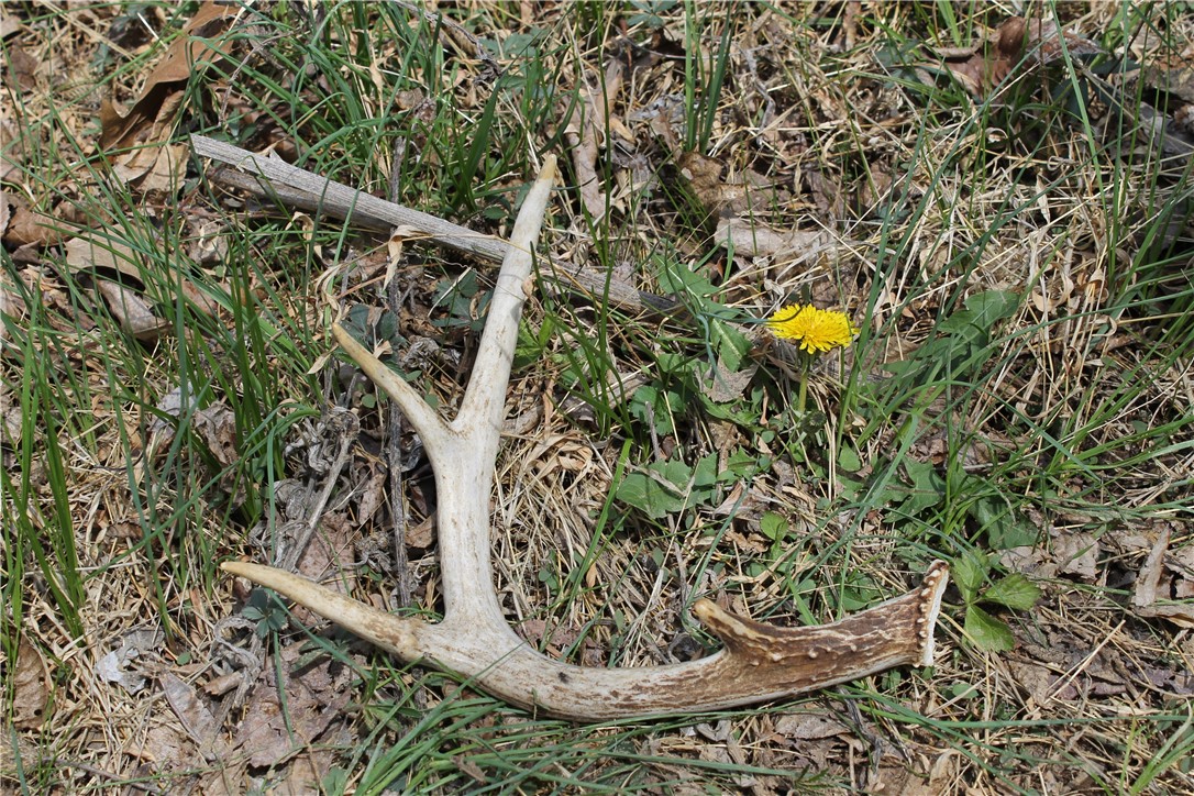 Image 18