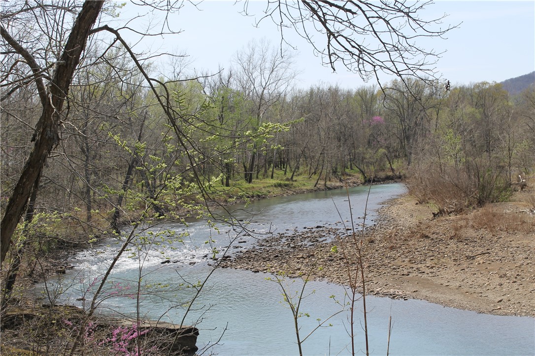 Image 19