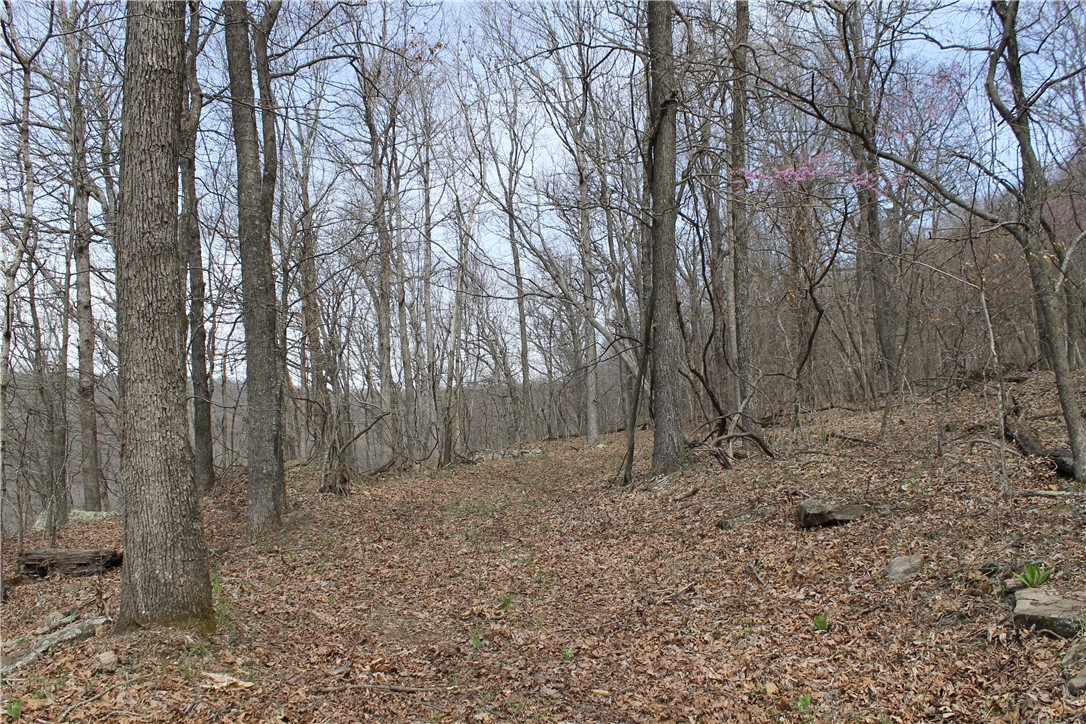 Image 8