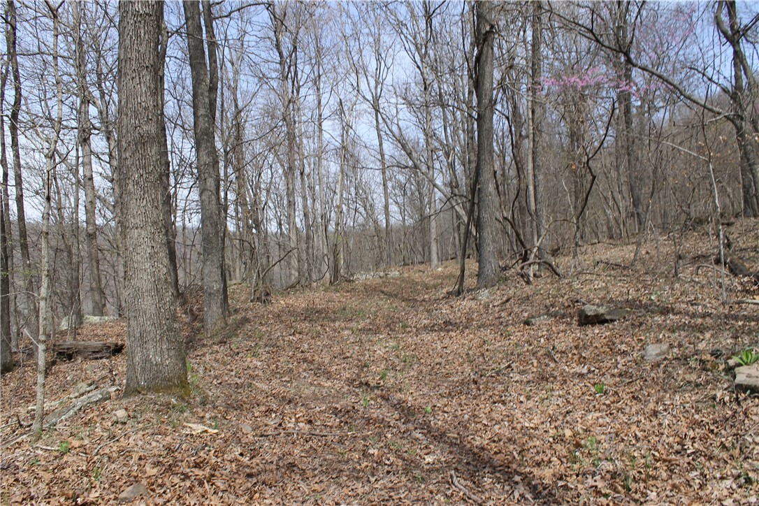 Image 9