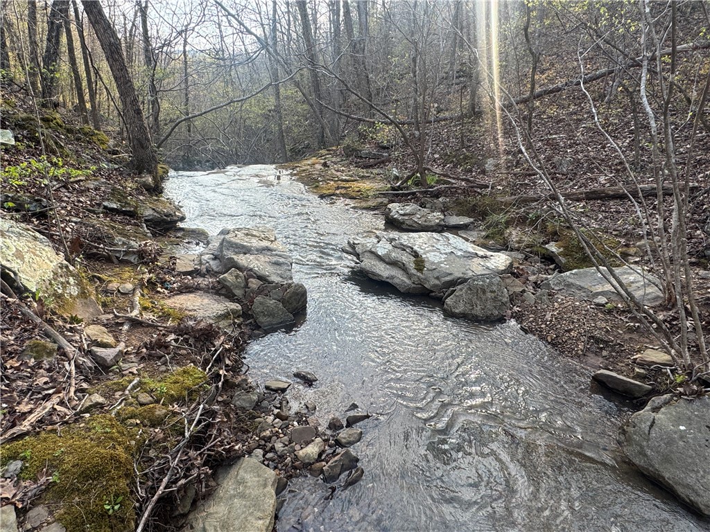 Image 13