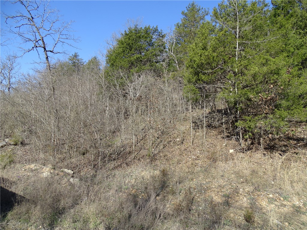 Image 10