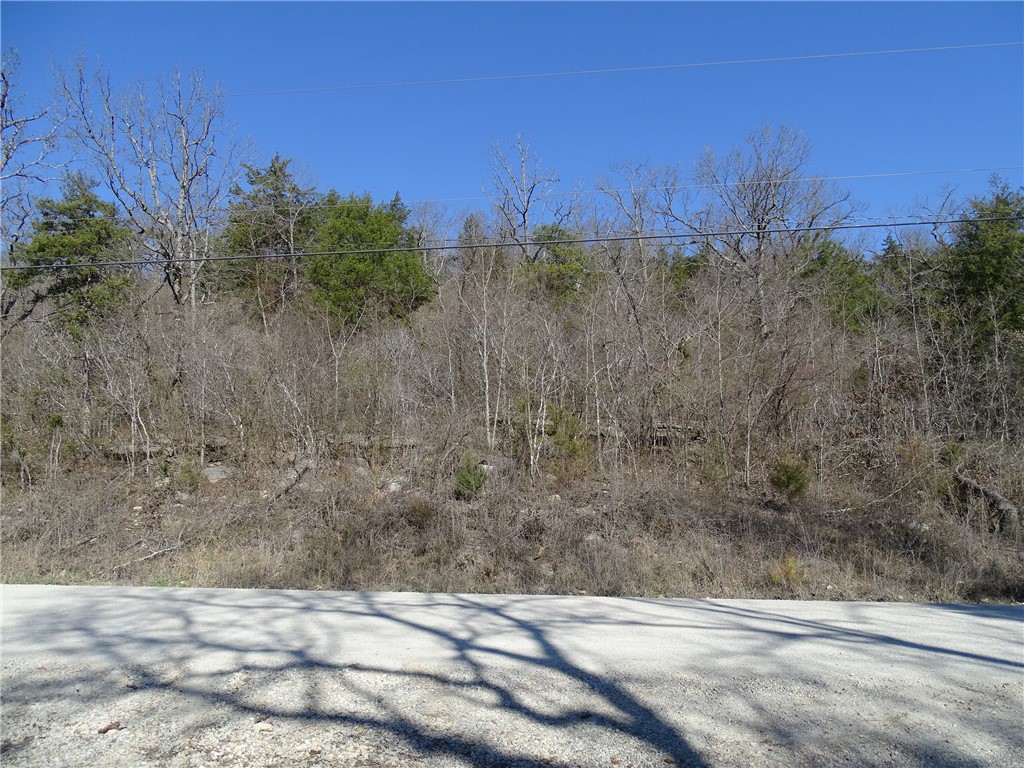 Image 12