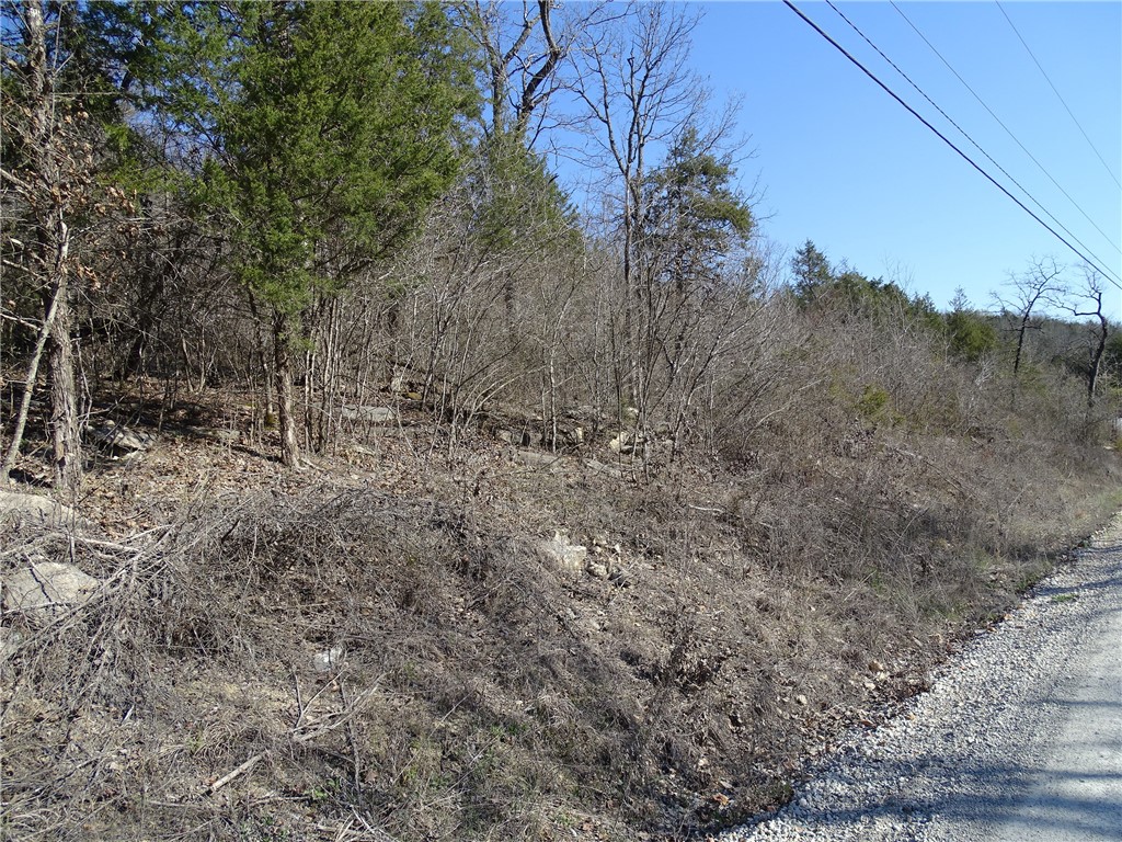 Image 13