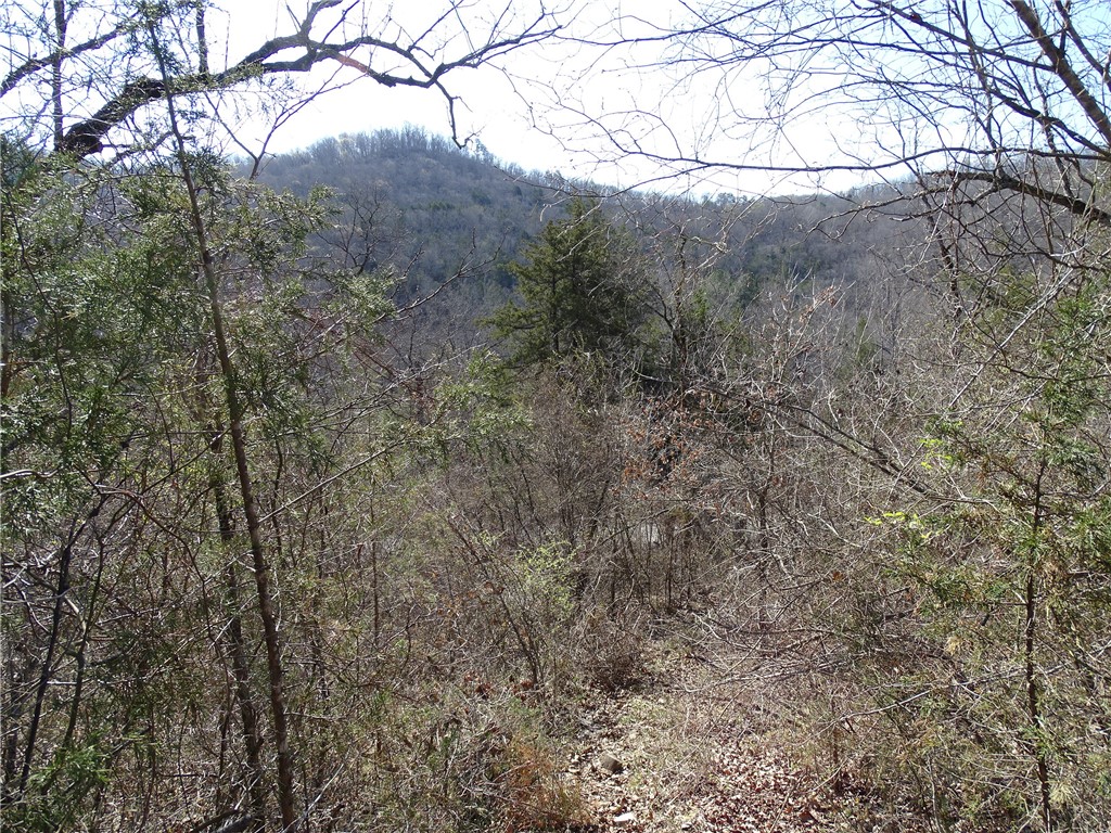 Image 14