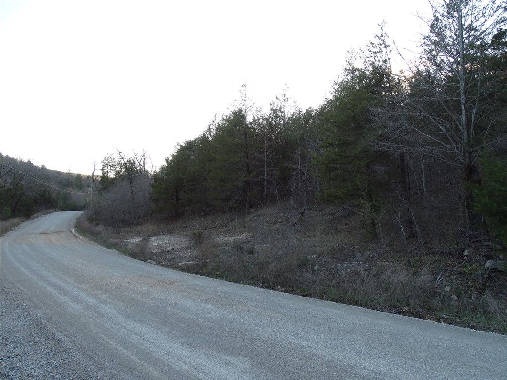 Image 15