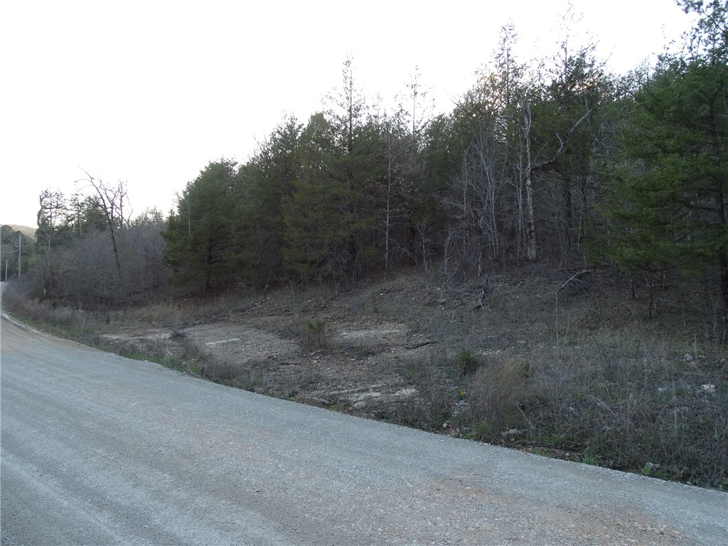 Image 16