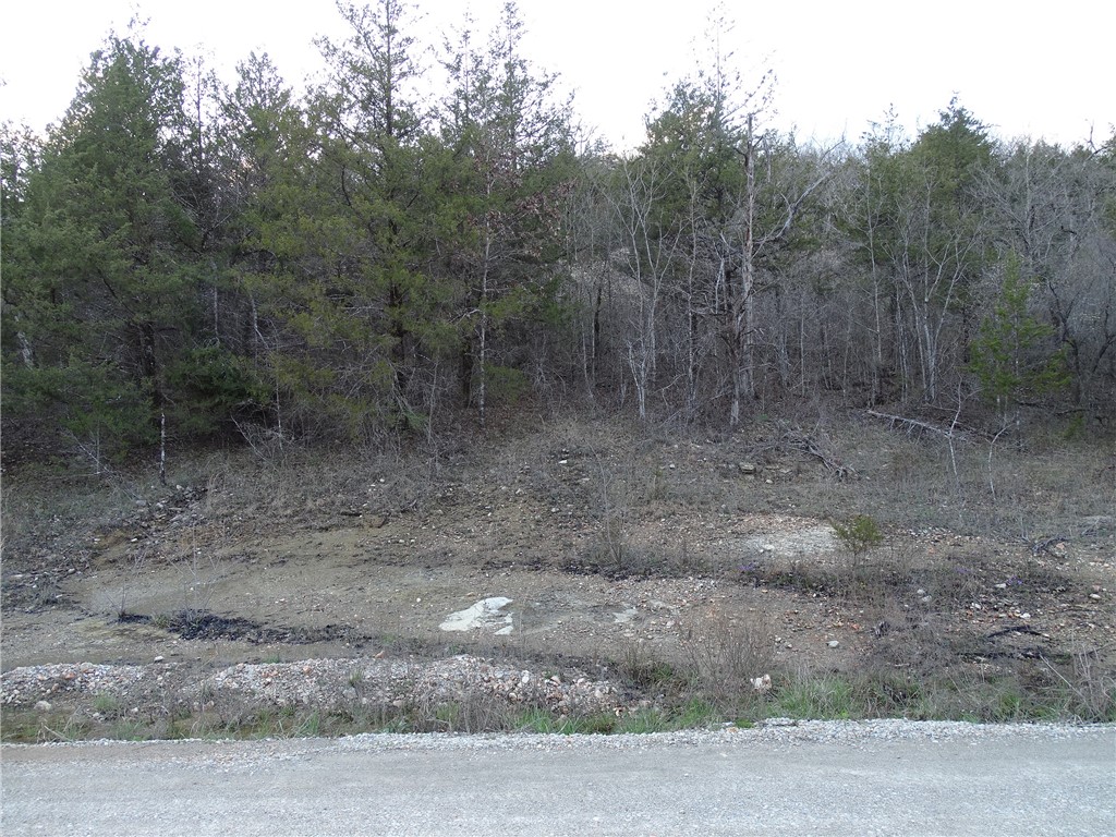 Image 17