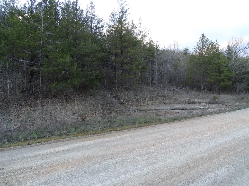 Image 18
