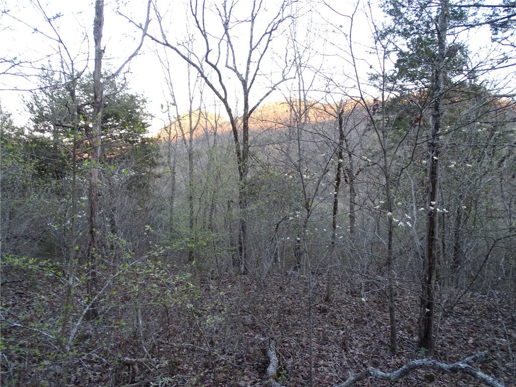 Image 19