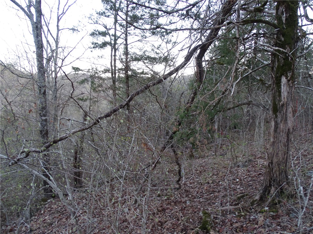 Image 30