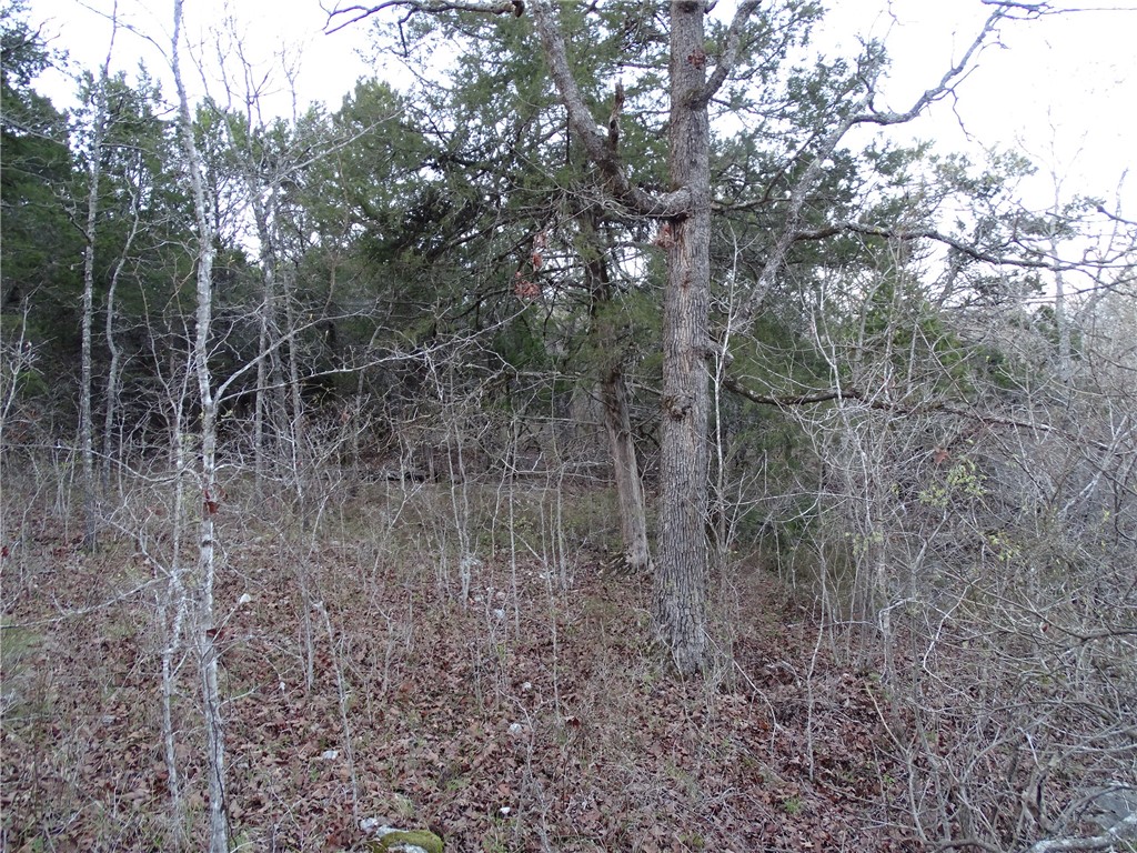 Image 31