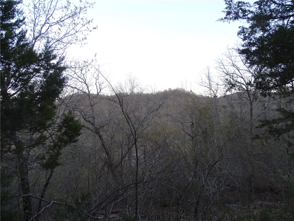Image 32