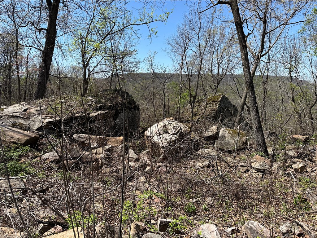Image 11